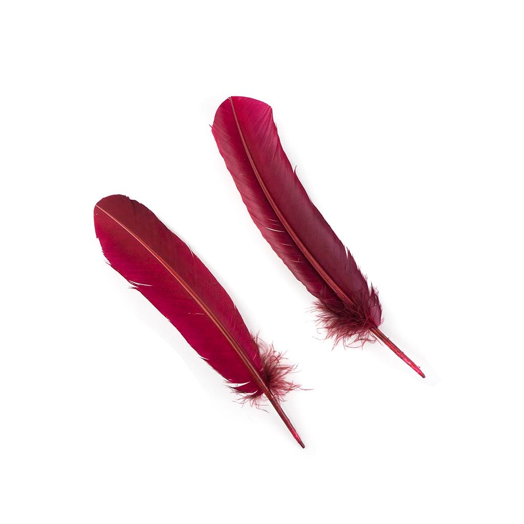 Turkey Quills by Pound - Left Wing - Burgundy - Feathers