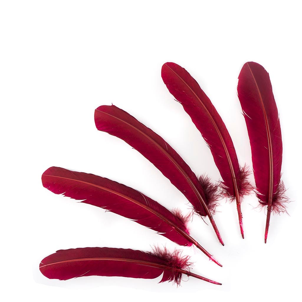 Turkey Quills by Pound - Left Wing - Burgundy - Feathers