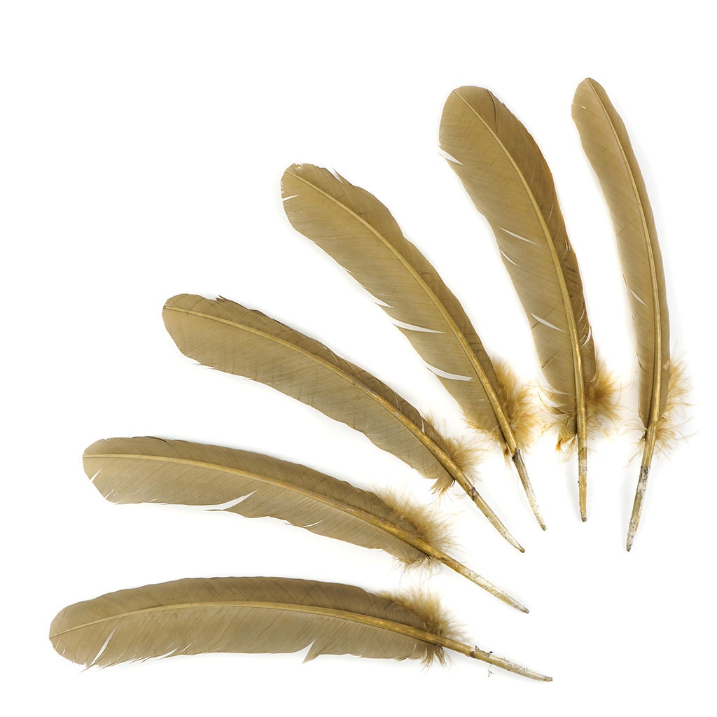 Turkey Quills by Pound - Left Wing - Camel - Feathers