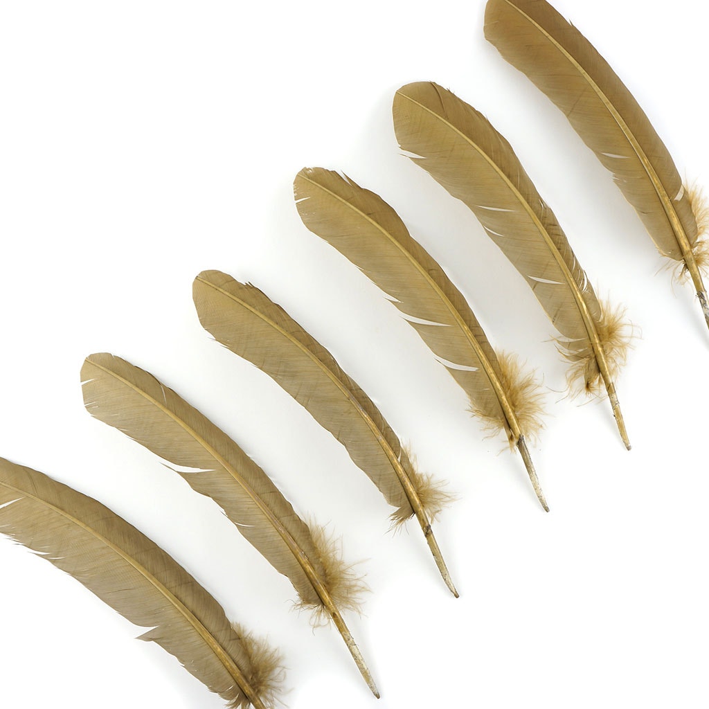 Turkey Quills by Pound - Left Wing - Camel - Feathers