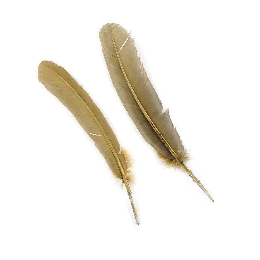 Turkey Quills by Pound - Left Wing - Camel - Feathers