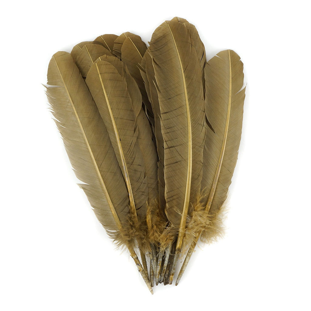 Turkey Quills by Pound - Left Wing - Camel - Feathers