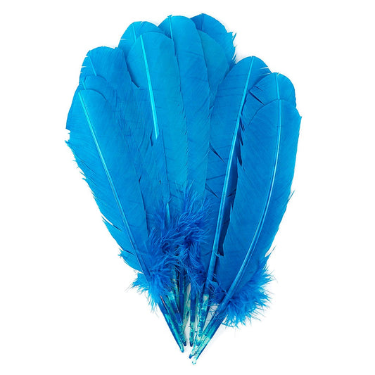 Turkey Quills by Pound - Left Wing - Dark Turquoise - Feathers