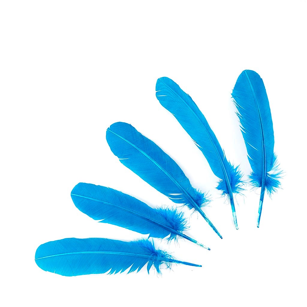 Turkey Quills by Pound - Left Wing - Dark Turquoise - Feathers