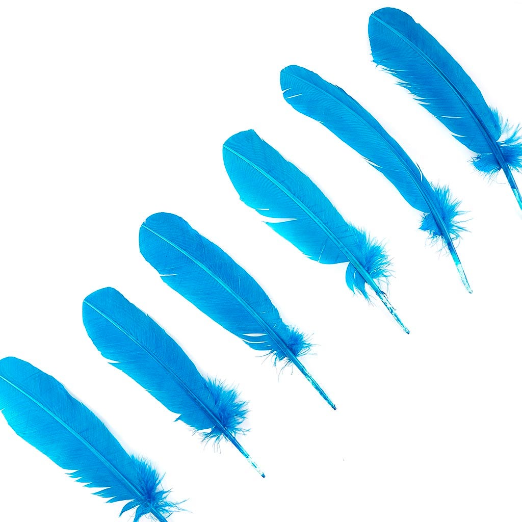 Turkey Quills by Pound - Left Wing - Dark Turquoise - Feathers