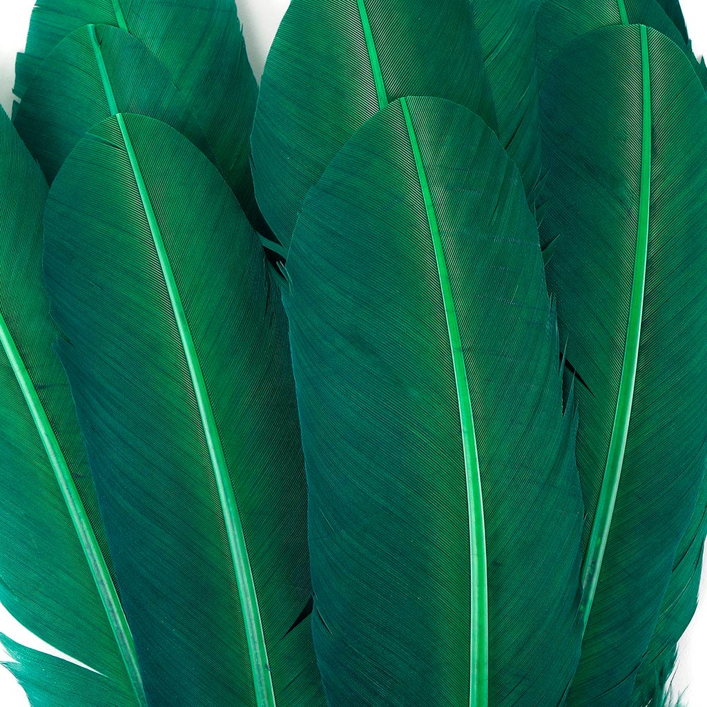 Turkey Quills by Pound - Left Wing - Hunter Green - Feathers