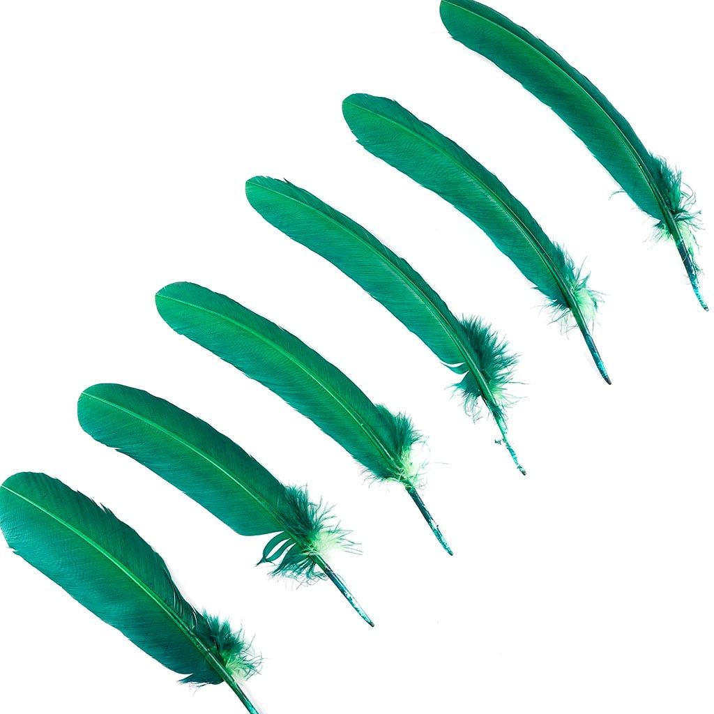 Turkey Quills by Pound - Left Wing - Hunter Green - Feathers