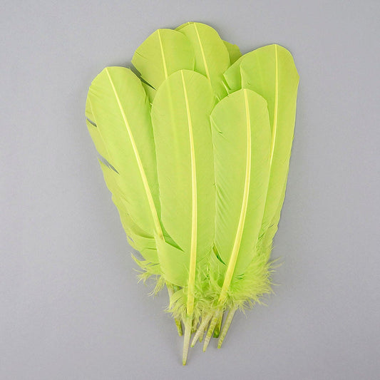 Turkey Quills by Pound - Left Wing - Lime - Feathers