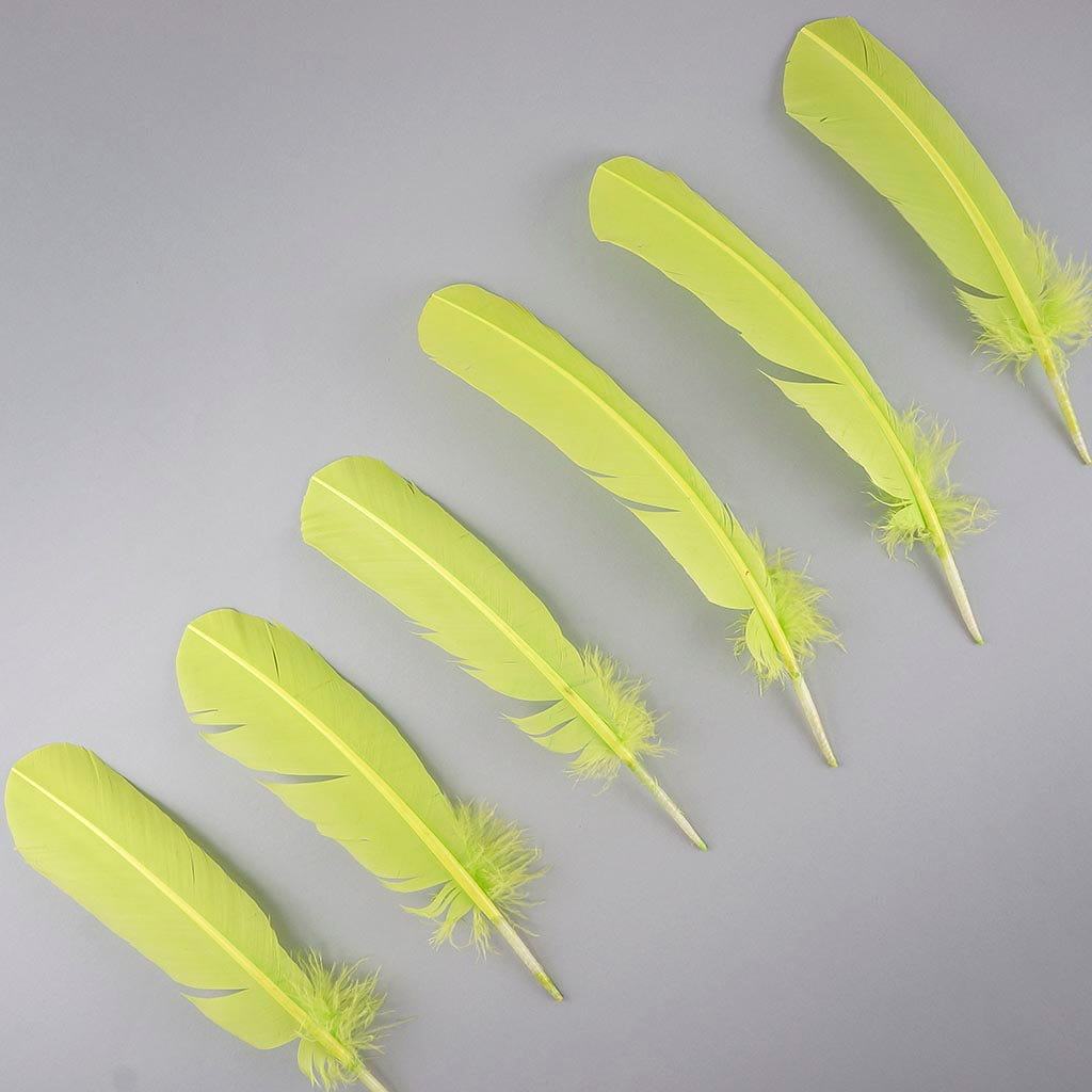 Turkey Quills by Pound - Left Wing - Lime - Feathers