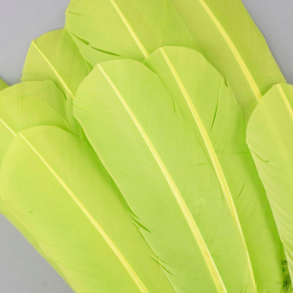 Turkey Quills by Pound - Left Wing - Lime - Feathers