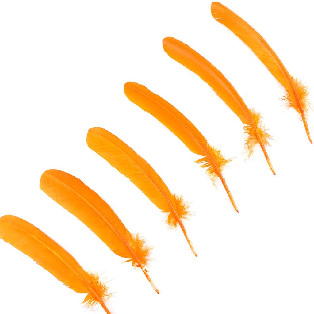 Turkey Quills by Pound - Left Wing - Mango - Feathers