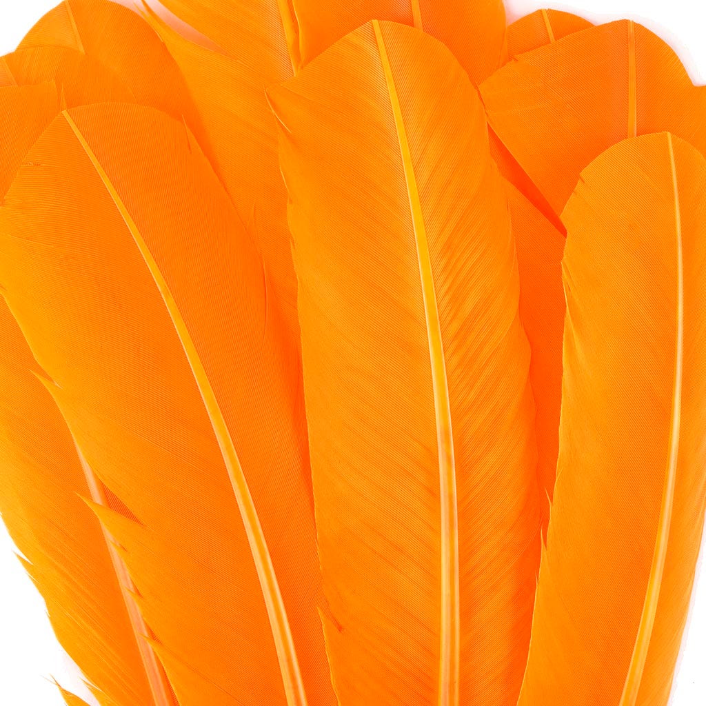 Turkey Quills by Pound - Left Wing - Mango - Feathers