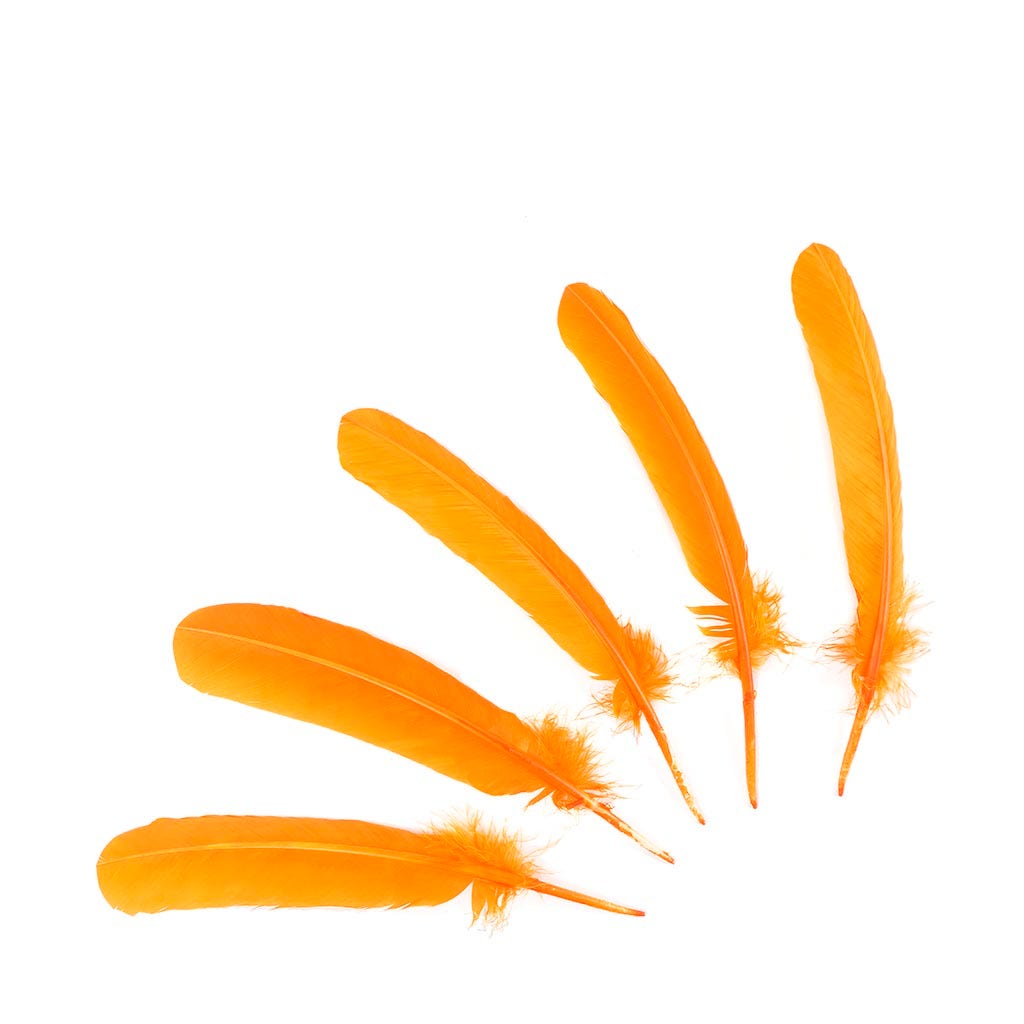 Turkey Quills by Pound - Left Wing - Mango - Feathers