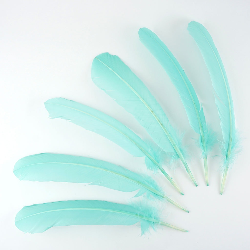 Turkey Quills by Pound - Left Wing - Mint - Feathers