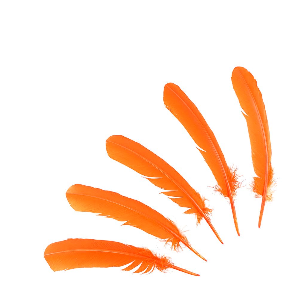 Turkey Quills by Pound - Left Wing - Orange - Feathers