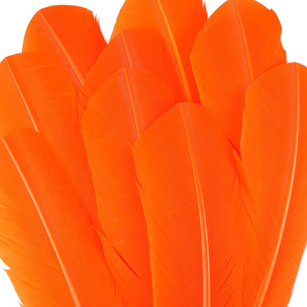 Turkey Quills by Pound - Left Wing - Orange - Feathers