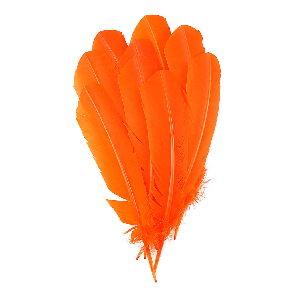 Turkey Quills by Pound - Left Wing - Orange - Feathers