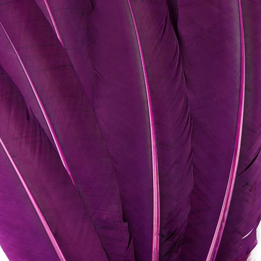 Turkey Quills by Pound - Left Wing - Purple - Feathers