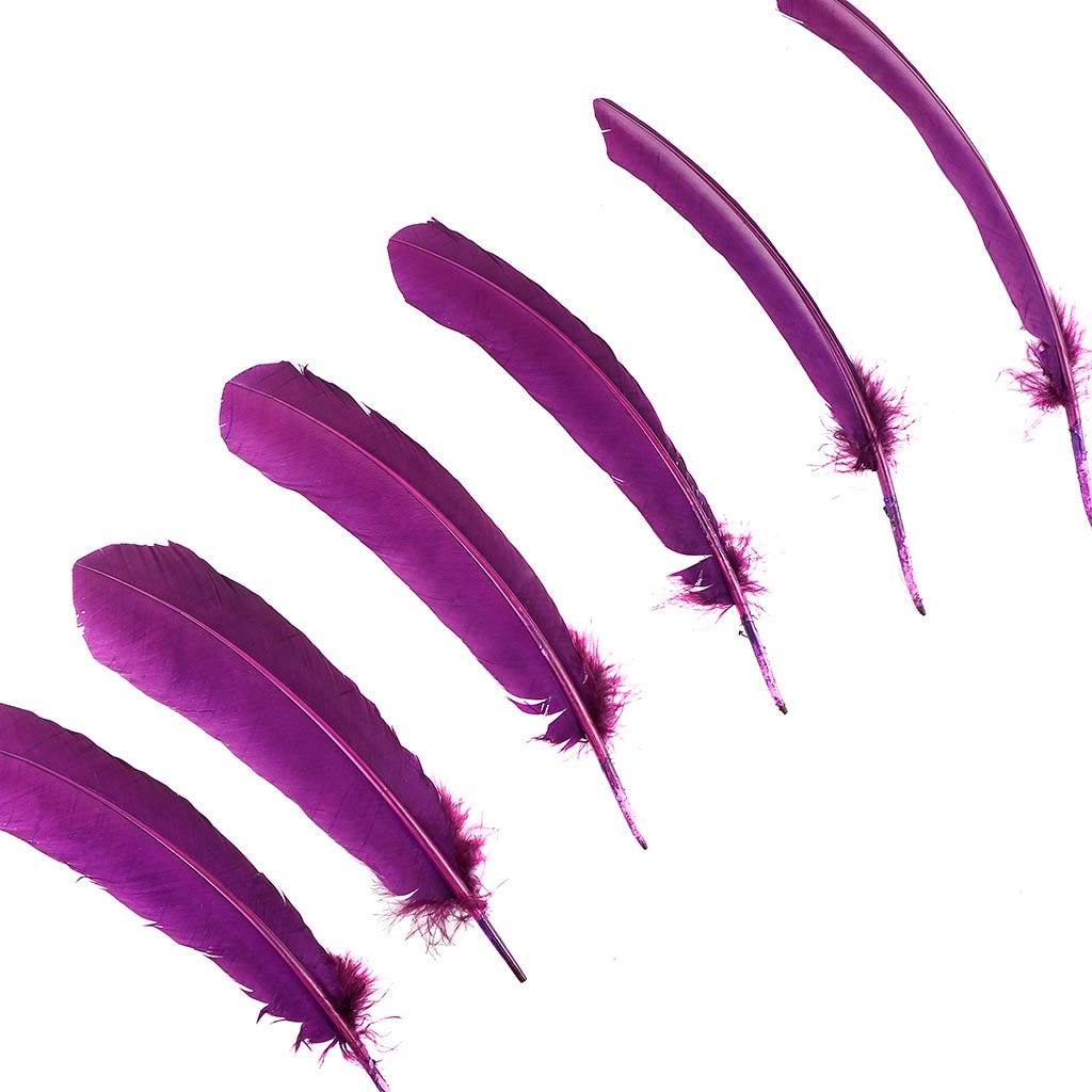 Turkey Quills by Pound - Left Wing - Purple - Feathers