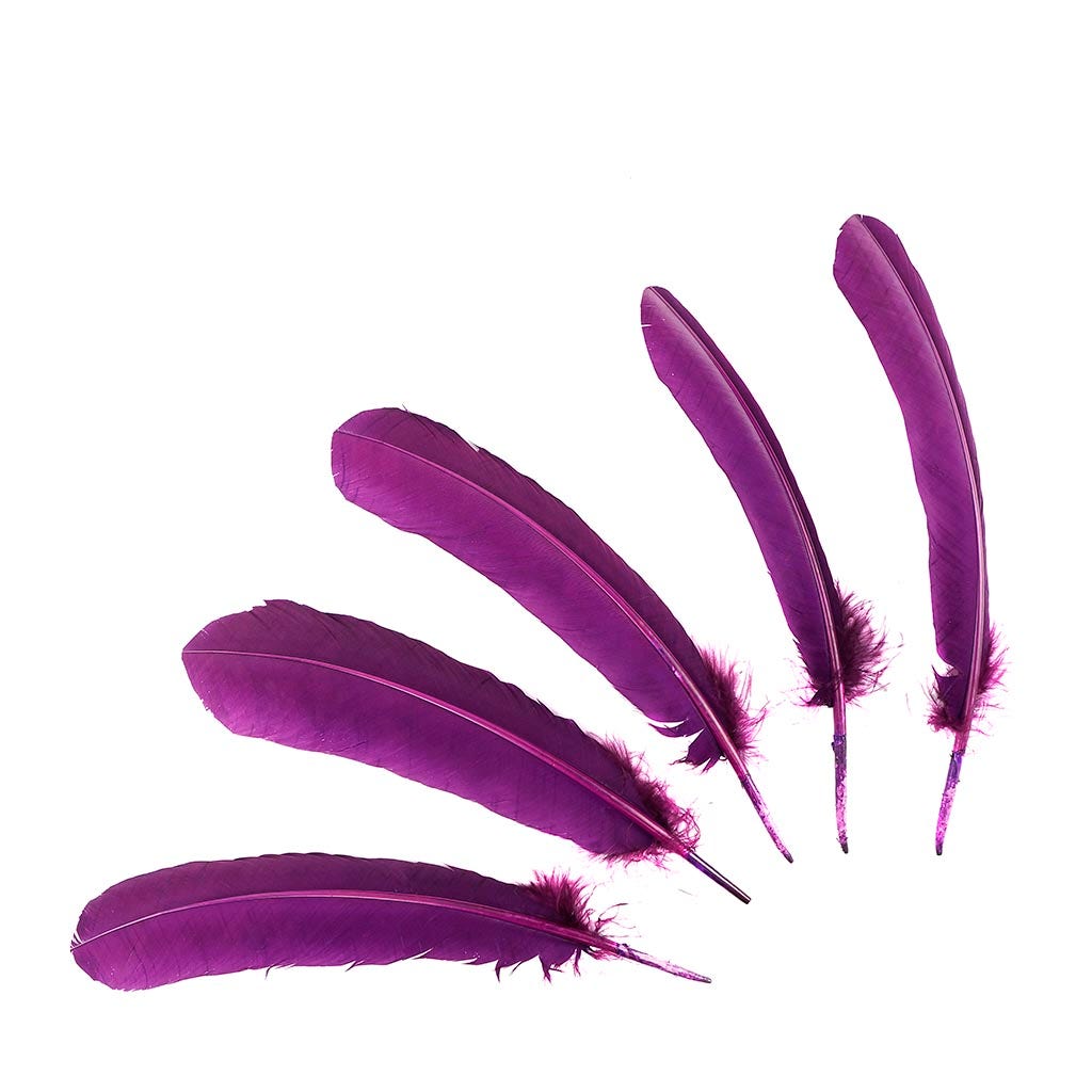 Turkey Quills by Pound - Left Wing - Purple - Feathers