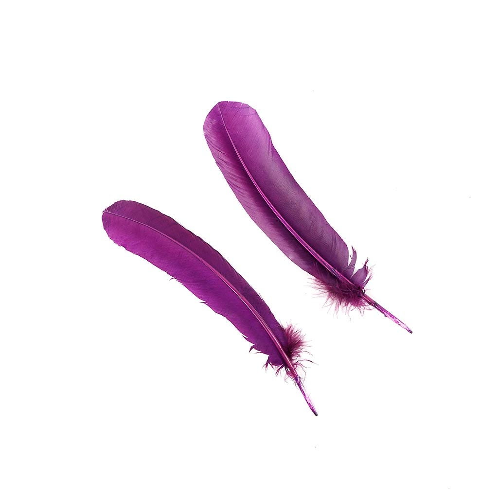 Turkey Quills by Pound - Left Wing - Purple - Feathers