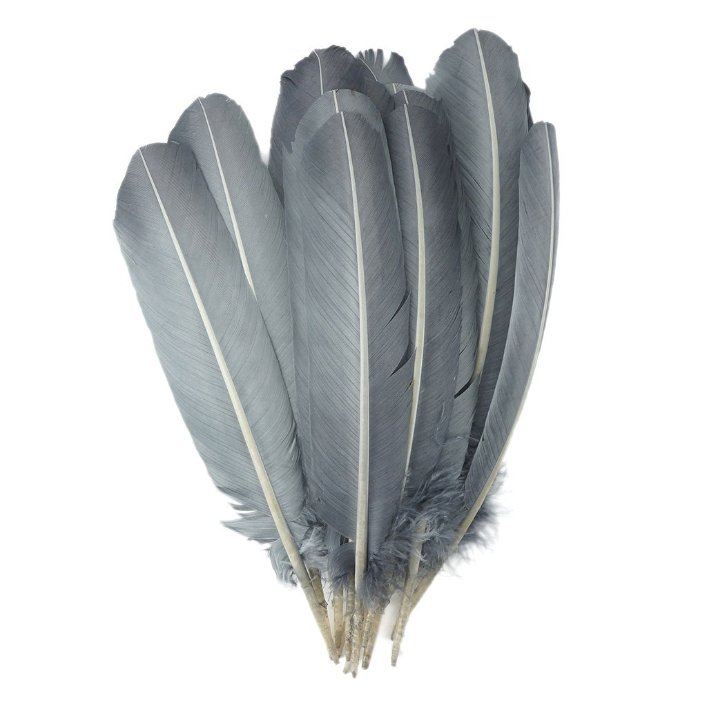 Turkey Quills by Pound - Left Wing - Silver - Feathers