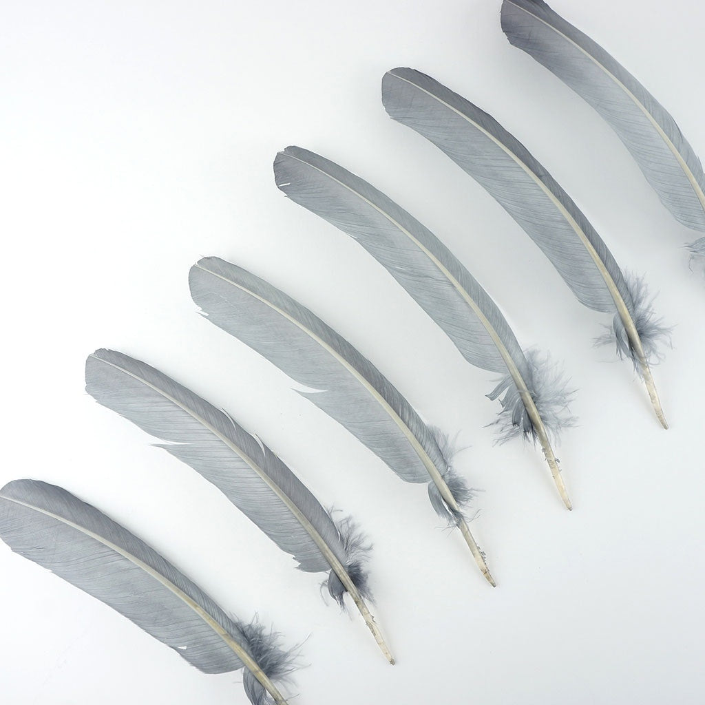 Turkey Quills by Pound - Left Wing - Silver - Feathers