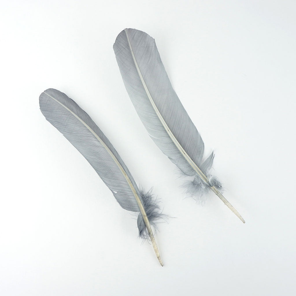 Turkey Quills by Pound - Left Wing - Silver - Feathers