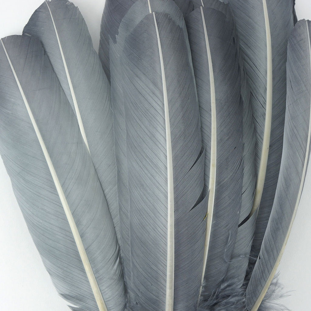 Turkey Quills by Pound - Left Wing - Silver - Feathers