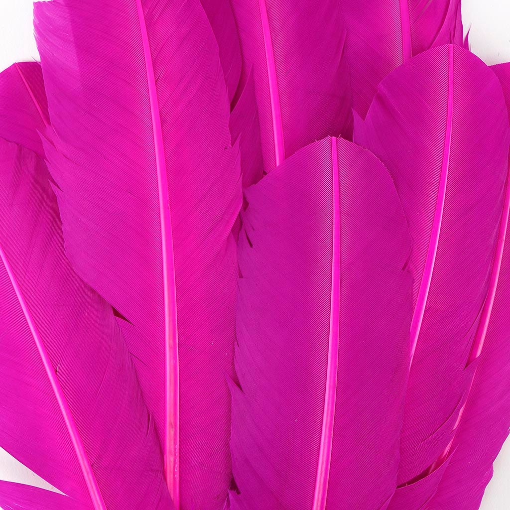 Turkey Quills by Pound - Left Wing - Very Berry - Feathers