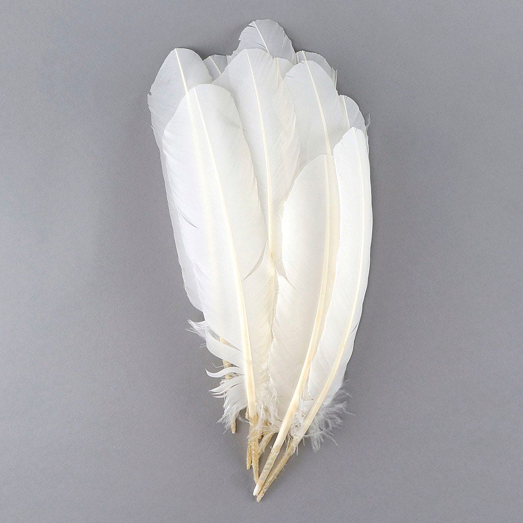 Turkey Quills by Pound - Left Wing - White - Feathers