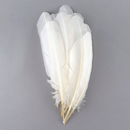 Turkey Quills by Pound - Left Wing - White - Feathers