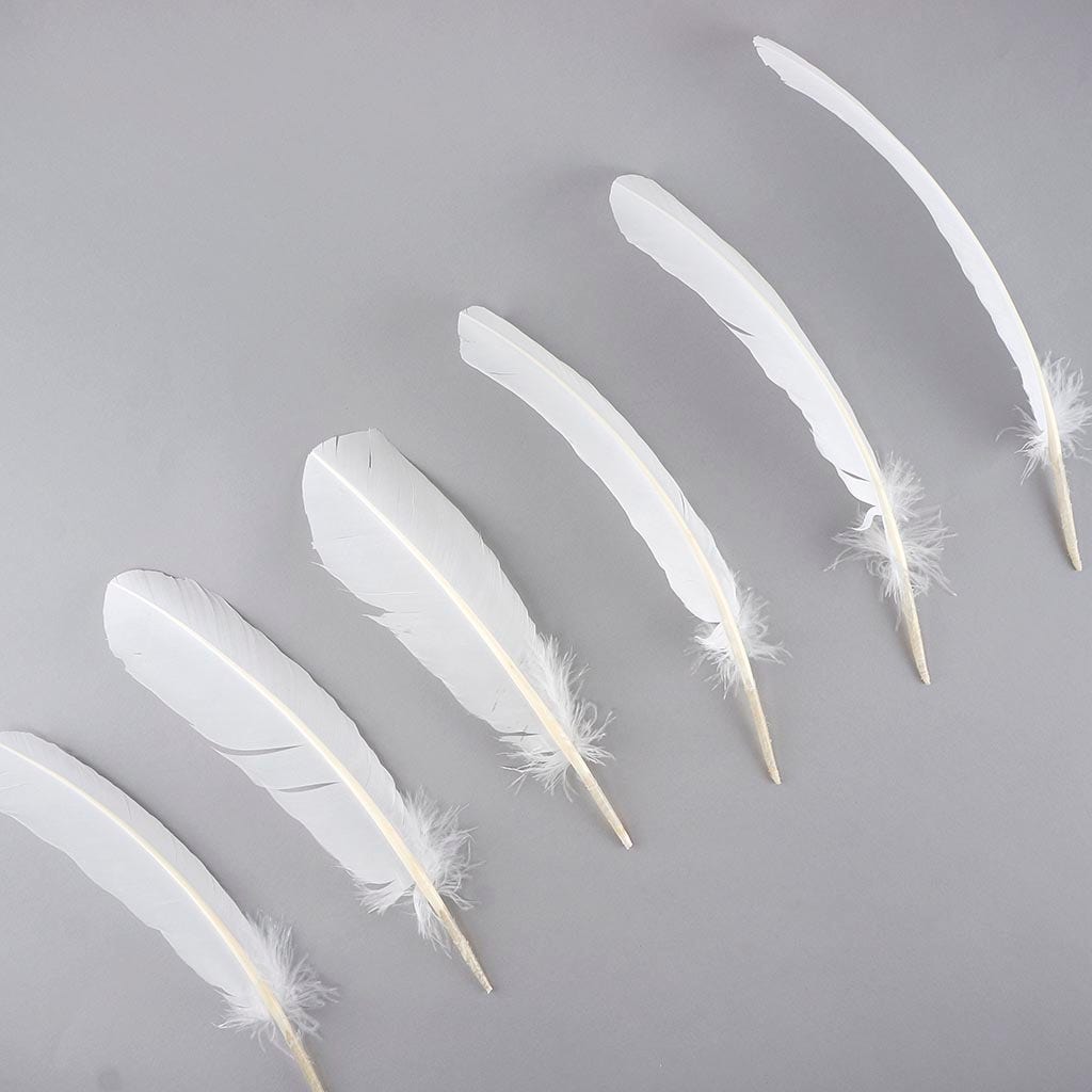 Turkey Quills by Pound - Left Wing - White - Feathers