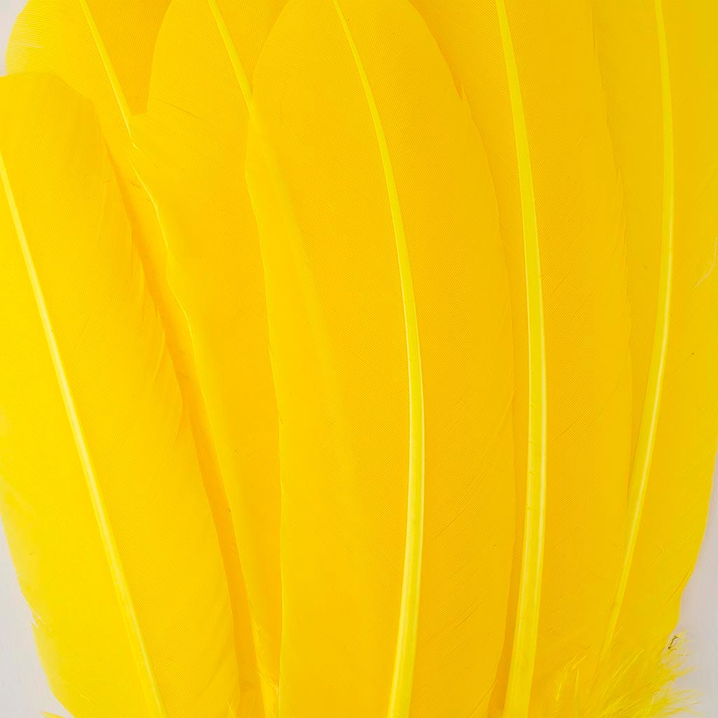 Turkey Quills by Pound - Left Wing - Yellow - Feathers