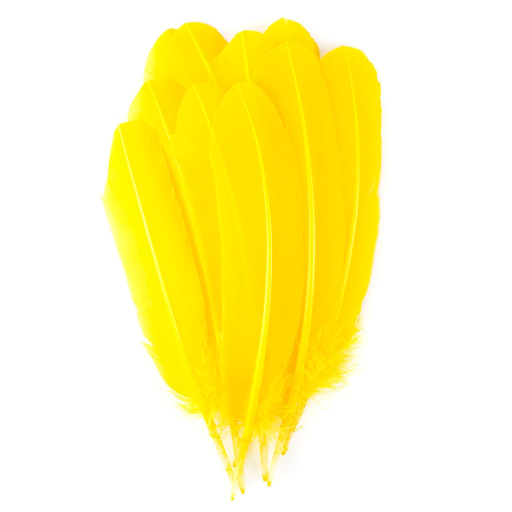 Turkey Quills by Pound - Left Wing - Yellow - Feathers