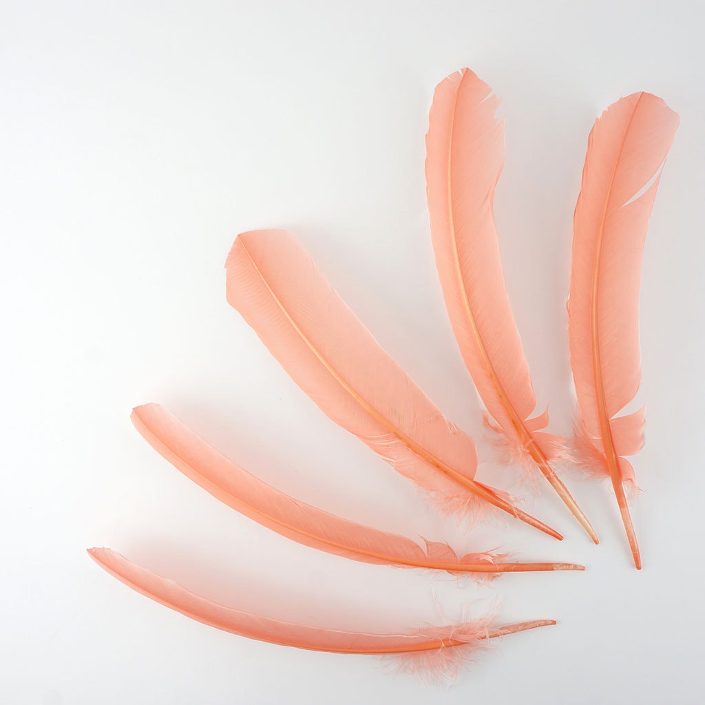 Turkey Quills by Pound - Right Wing - Apricot Blush - Feathers