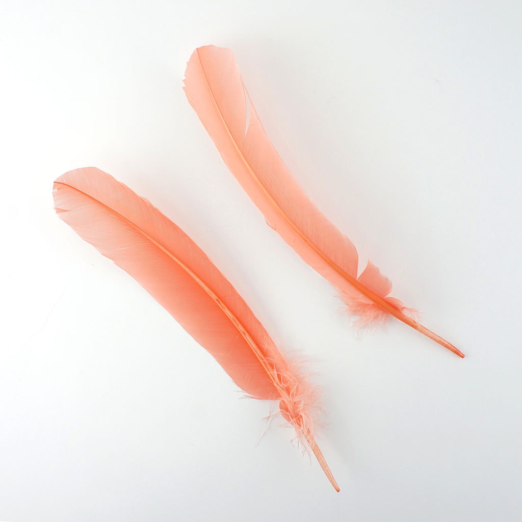 Turkey Quills by Pound - Right Wing - Apricot Blush - Feathers