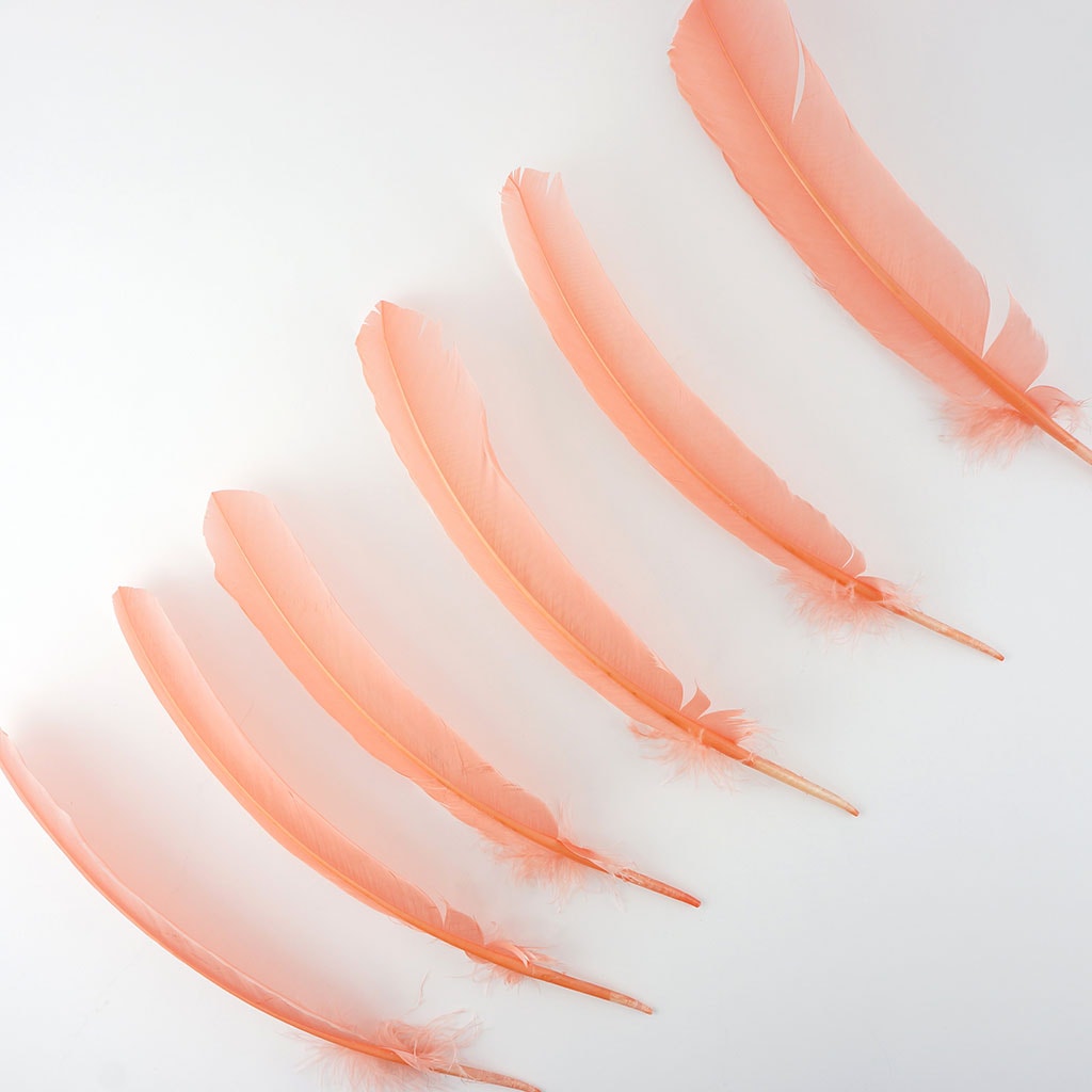 Turkey Quills by Pound - Right Wing - Apricot Blush - Feathers