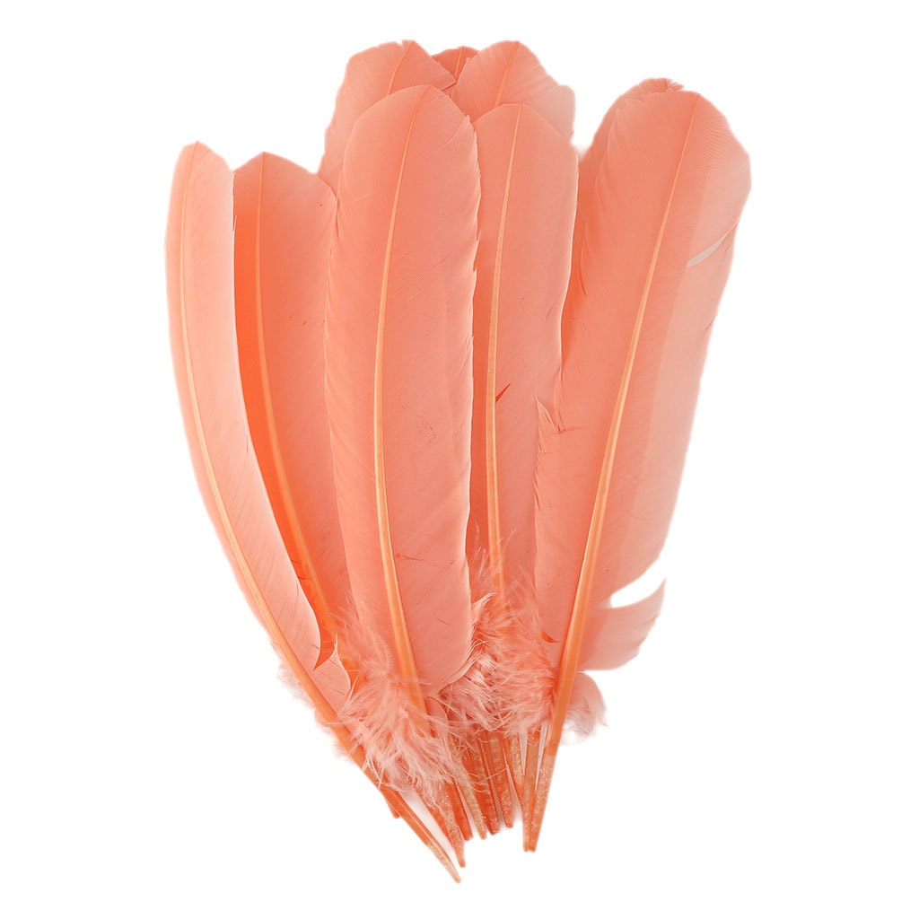 Turkey Quills by Pound - Right Wing - Apricot Blush - Feathers