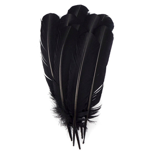 Turkey Quills by Pound - Right Wing - Black - Feathers
