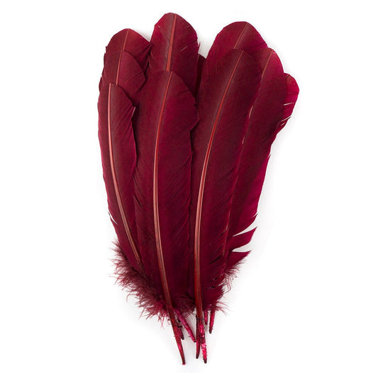 Turkey Quills by Pound - Right Wing - Burgundy - Feathers