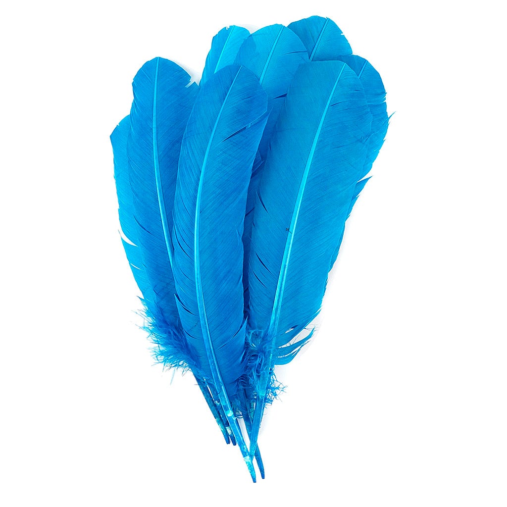 Turkey Quills by Pound - Right Wing - Dark Turquoise - Feathers