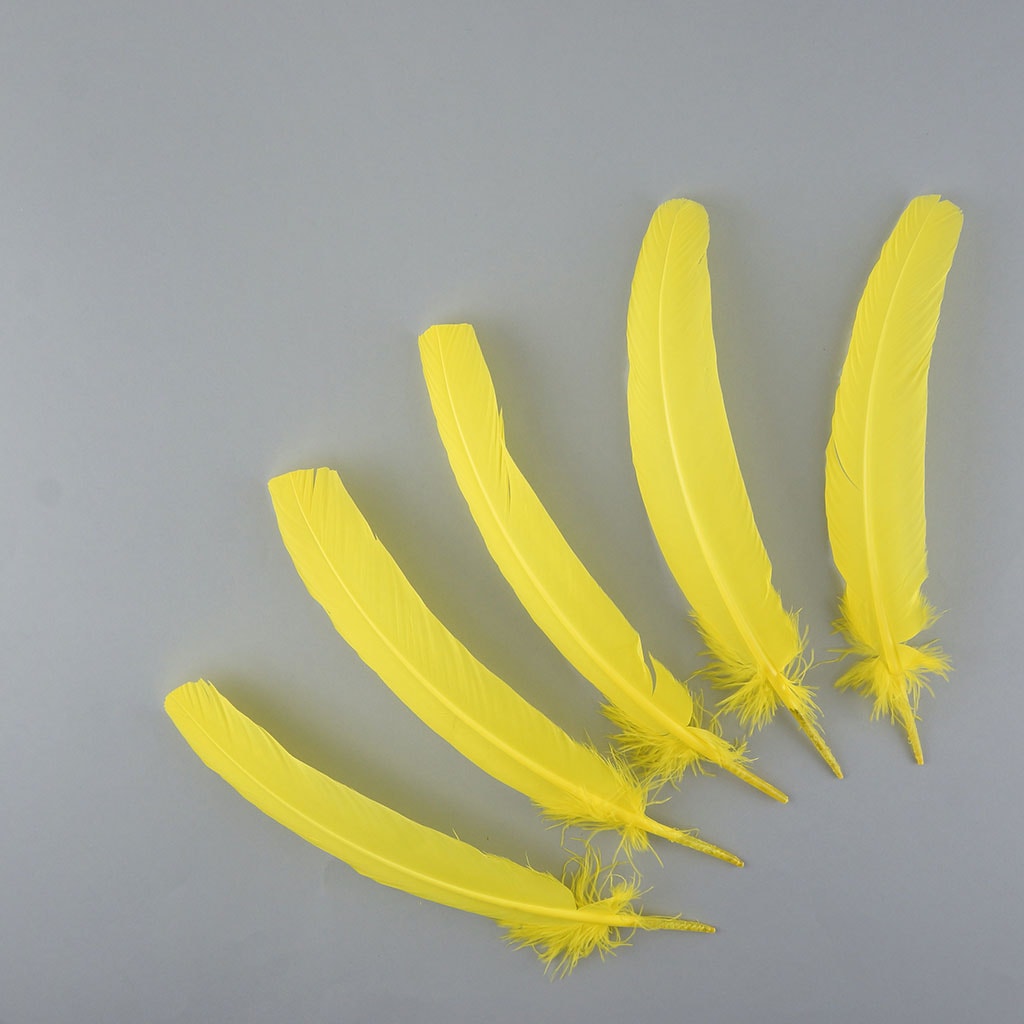 Turkey Quills by Pound - Right Wing - Florescent Yellow - Feathers