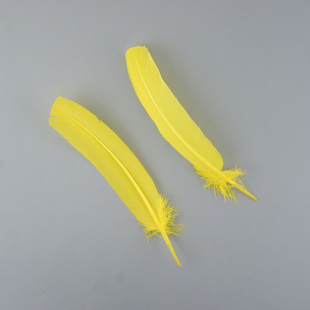 Turkey Quills by Pound - Right Wing - Florescent Yellow - Feathers