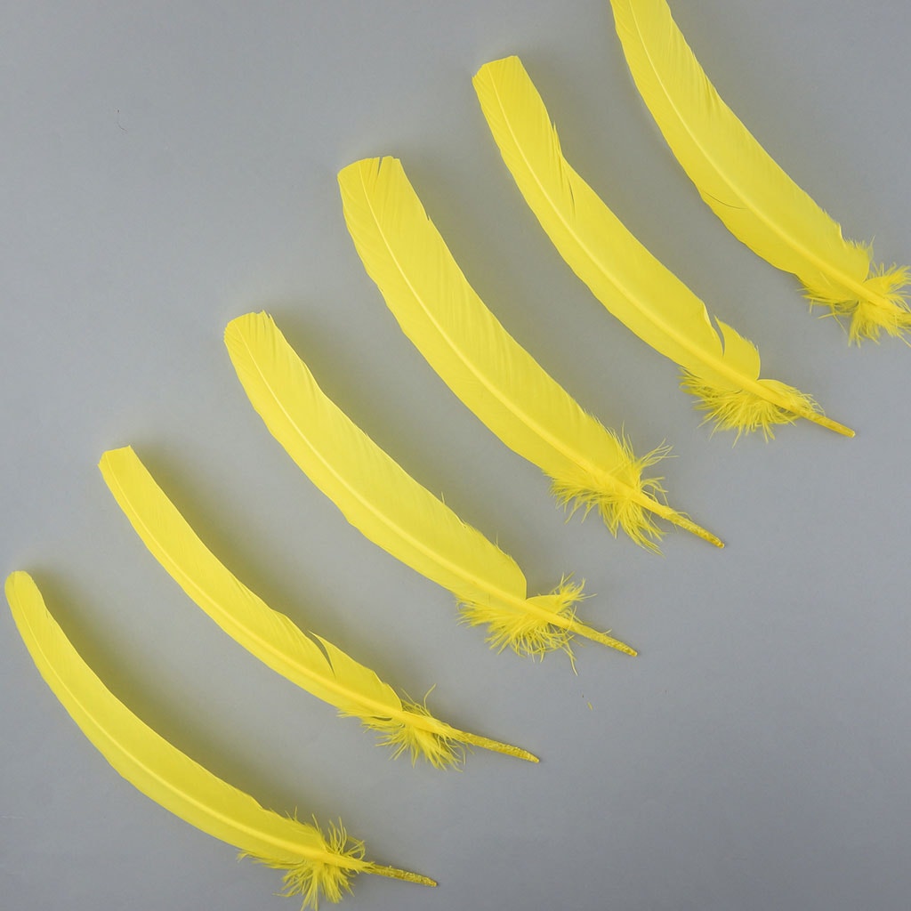 Turkey Quills by Pound - Right Wing - Florescent Yellow - Feathers