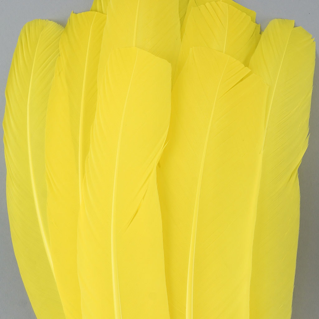 Turkey Quills by Pound - Right Wing - Florescent Yellow - Feathers