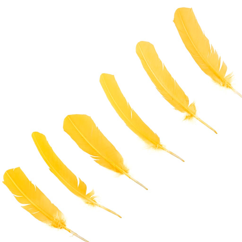 Turkey Quills by Pound - Right Wing - Gold - Feathers