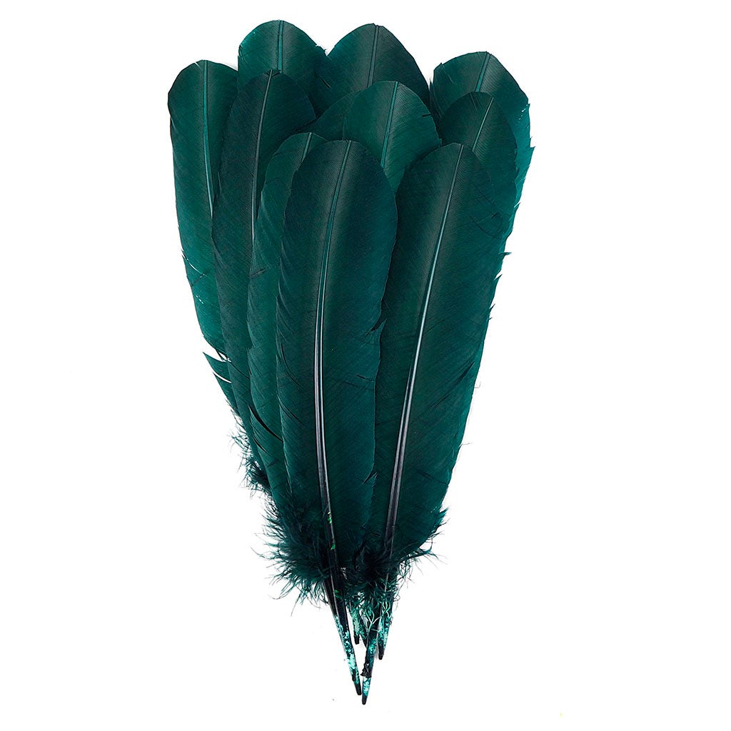 Turkey Quills by Pound - Right Wing - Hunter Green - Feathers