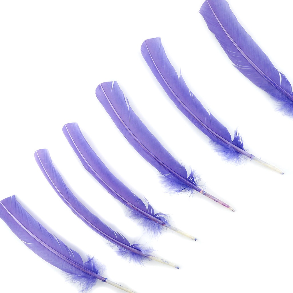 Turkey Quills by Pound - Right Wing - Lavender - Feathers