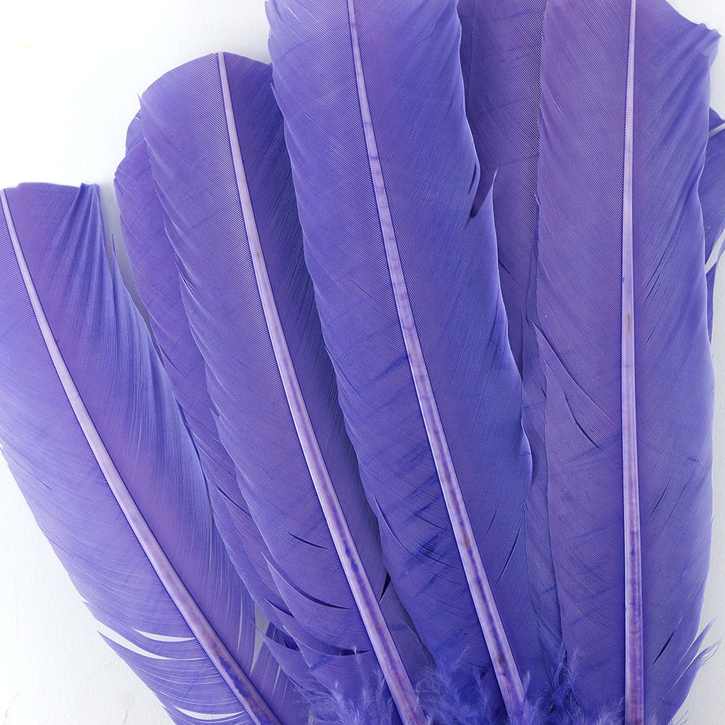 Turkey Quills by Pound - Right Wing - Lavender - Feathers